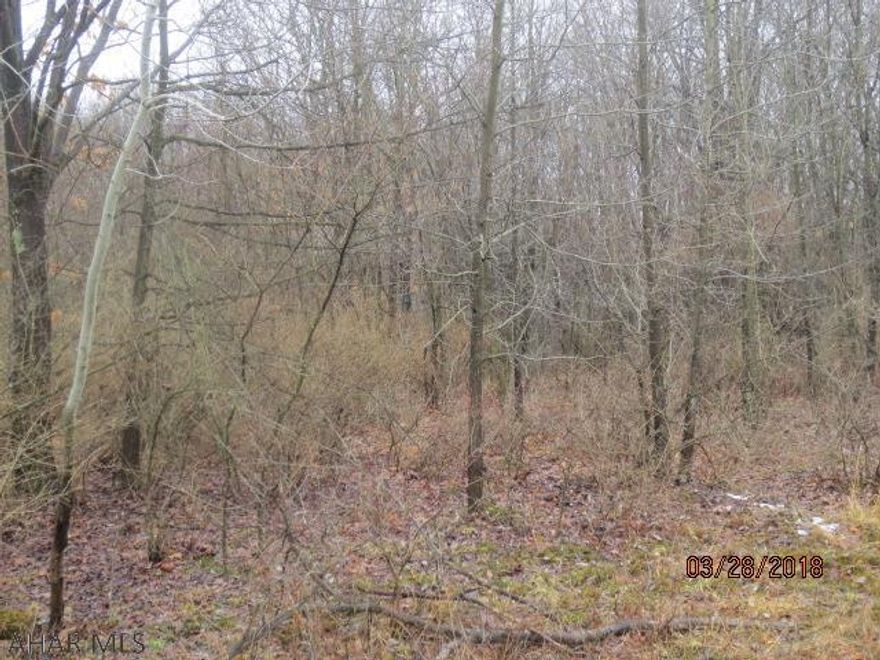 vacant land for possible home site with approx. 558' of road frontage.Approx. Not perc approved and no well.Land is approx.400' off Kolak Rd on Gates Rd