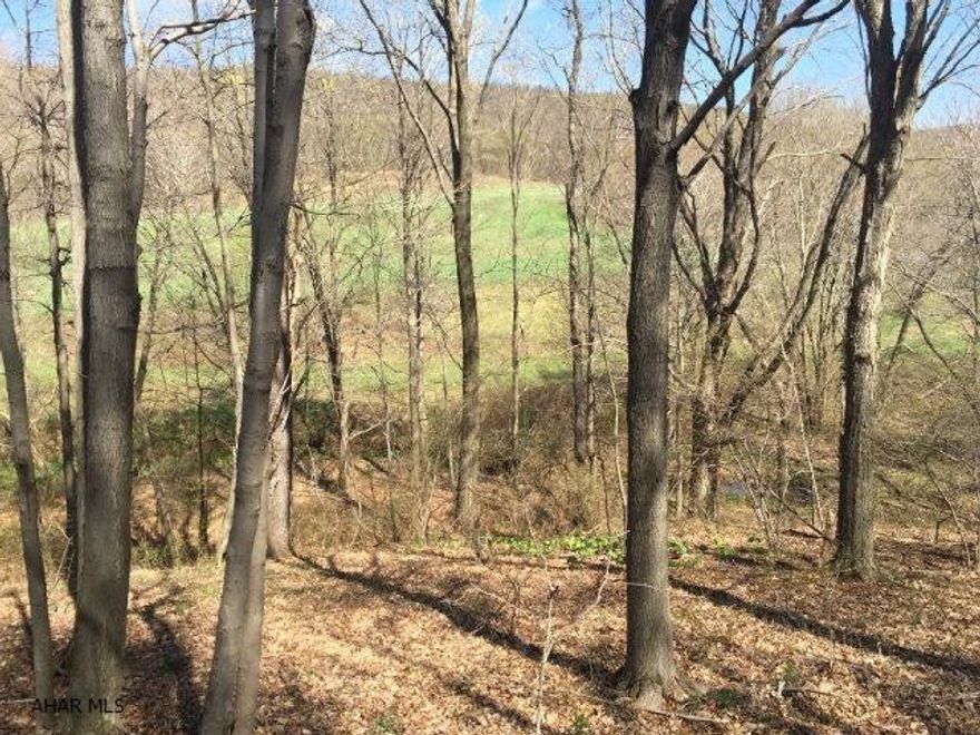 Nestled in the foothills of the Allegheny Mountains lies this rarely found, huge tract of land situated close to Shawnee State Park and the famous historic Omni Springs. The property presents with panoramic views, tillable acres and timber value. The land is well known for hunting wild turkey, bear and deer, skiing, hiking, fishing and farming. Bedford county is conveniently located near Route 30, I99 and the PA. Combine the adjacent home place with an additional 192 Acres for total of +/- 390 acres.