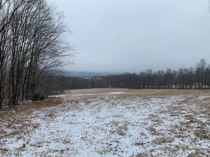 19.48 acres of open and wooded land with great views!! Land adjoins Buchanan State Forest and has public road frontage on two roads, Lashley and Mountain Roads. Perfect site to build your new home or that get-away cabin. Site has been perc approved and electric is at the road. Well would have to be drilled by buyer. Contingent upon subdivision approval.