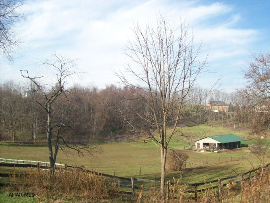 Beautiful building lot on the corner of Meadow Lane & Forsht Drive. There is water, sewer and electric to the barn. There is approved plans for driveway on file at office. Beautiful lot for your new dream home. Gas is available. Seller will consider leasing the property for $750 per month plus utilities. Property will remain active for sale.