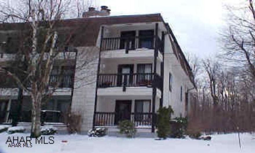 Nice 1st floor 1 bedroom, 1 bath condo.  Fully furnished.  Sleeps 6.   New carpet, bedroom furniture, and sofa.  Amenities include: use of indoor/outdoor pools, hot tubs, tennis courts, and trash removal.  Dues are $178 per month.  J-231