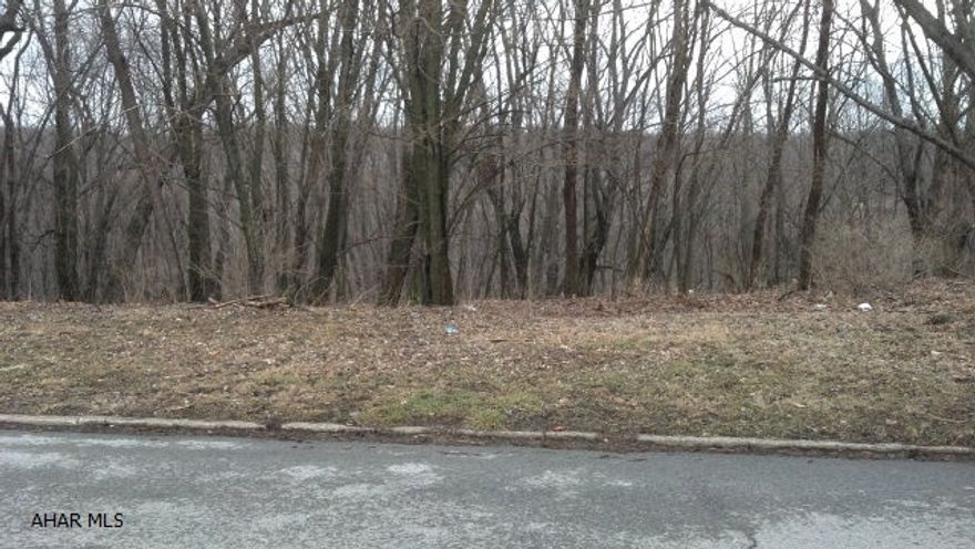 Beautiful building lot. This 150x120 lot features panoramic views of the area. Priced to sell, bring your offers.