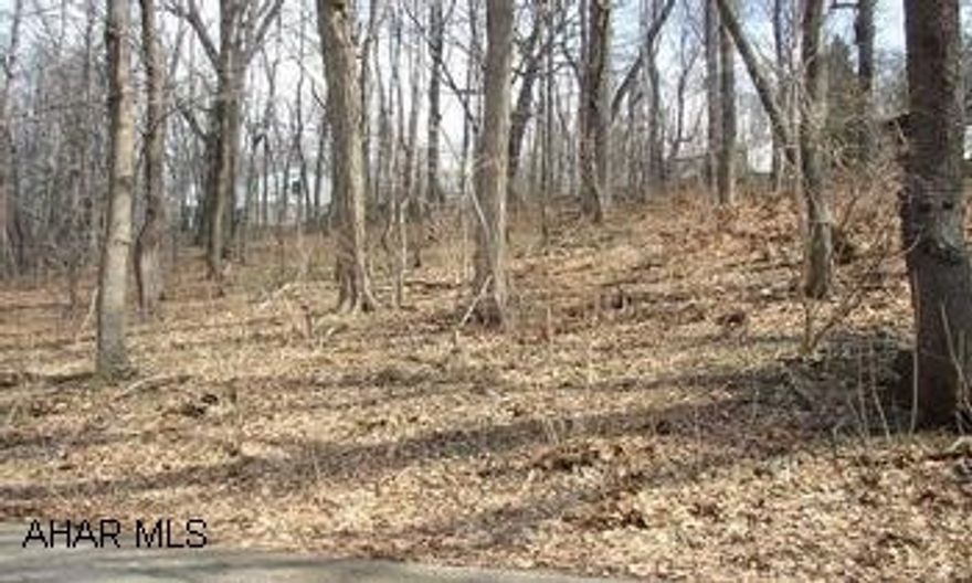 TUCKAHOE PARK AREA! HUGE .36 ACRE LOT READY FOR YOUR DREAM HOME. MATURE TREES. SURVEY ON FILE. TUCKAHOE PARK AREA! HUGE .36 ACRE LOT READY FOR YOUR DREAM HOME. MATURE TREES. SURVEY ON FILE.