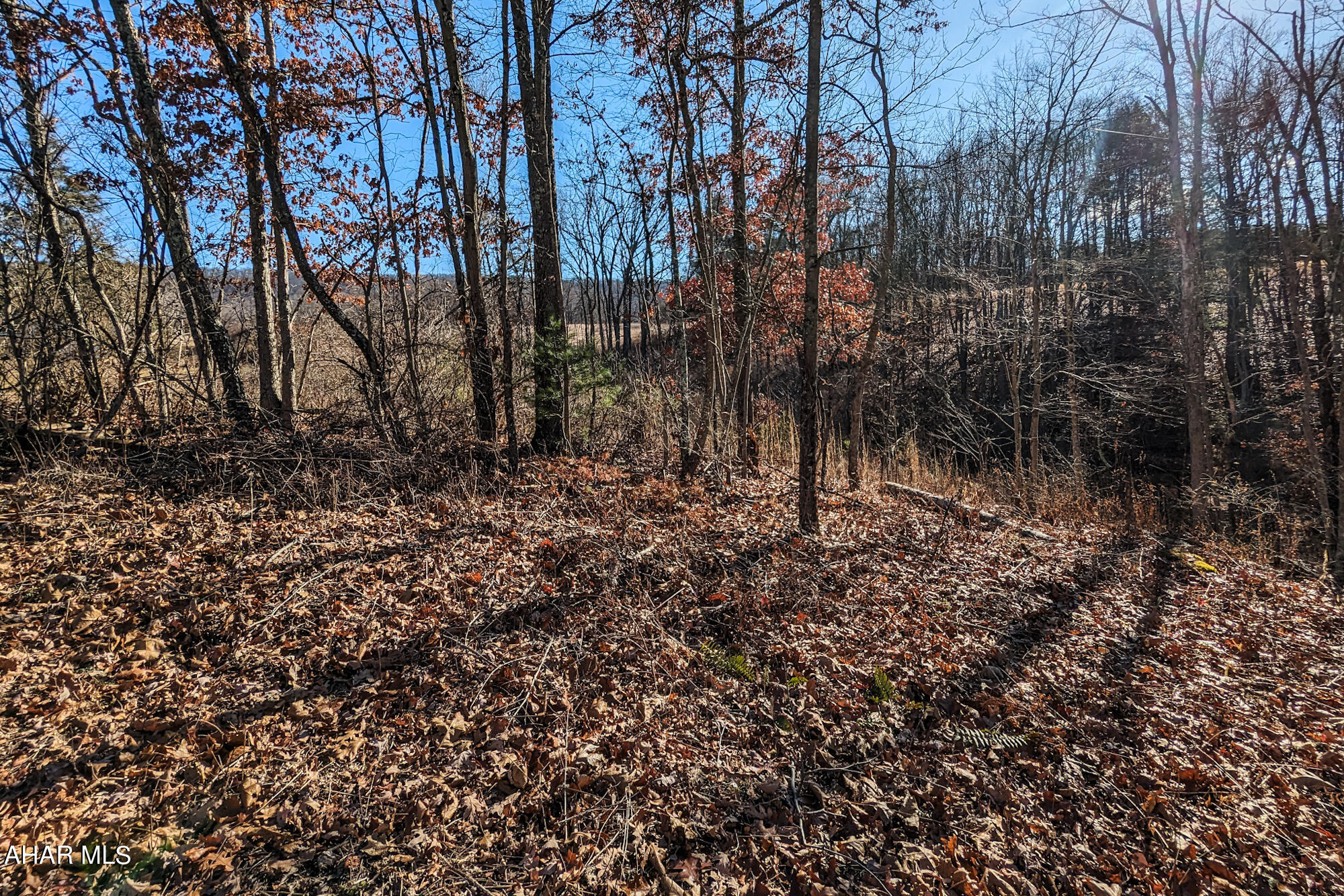 None - Commercial Sale