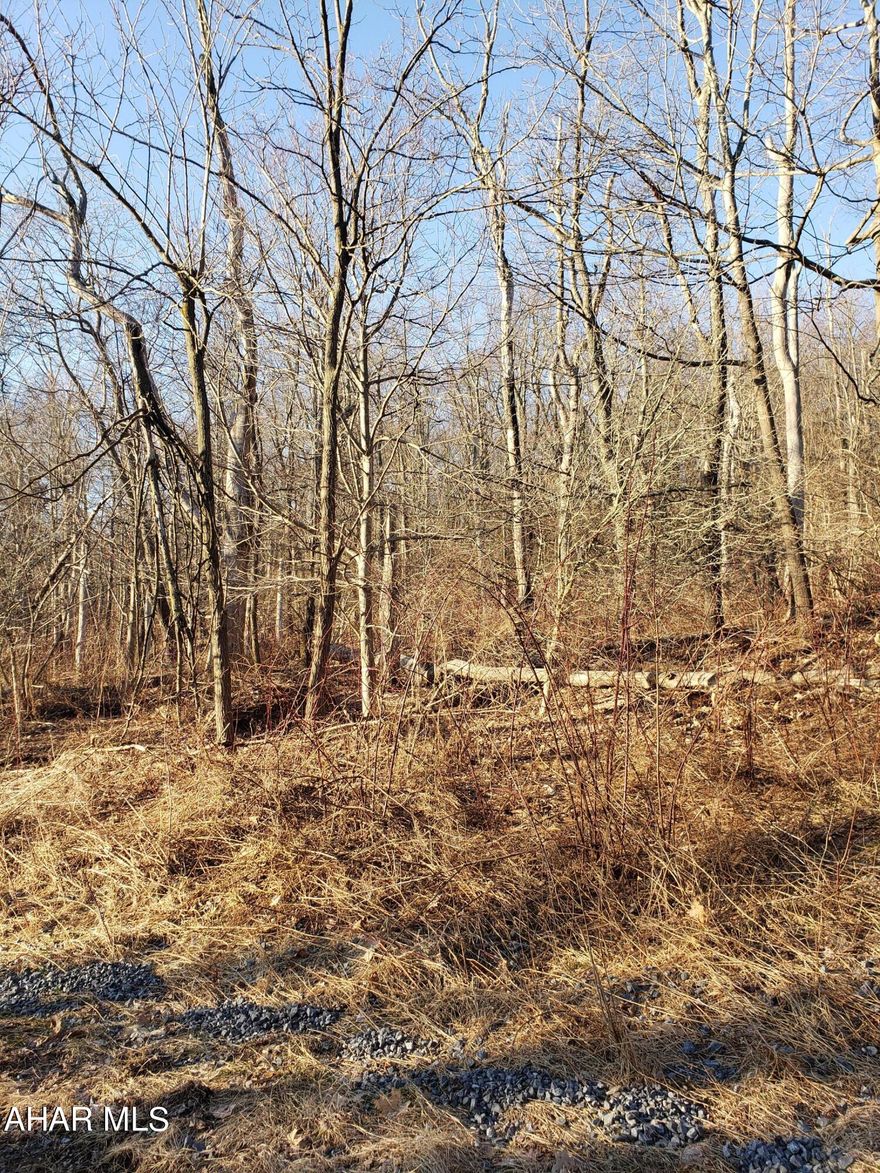 Enjoy nature on this private 5.01 acre lot in the Folmont Subdivision.  Owner has obtained permit for installation of sewage disposal system and corners have been marked.  Yearly Fees FPOA: $314.25
Map of Subdivision and restriction information can be found at http://folmontpropertyownersassociation.com