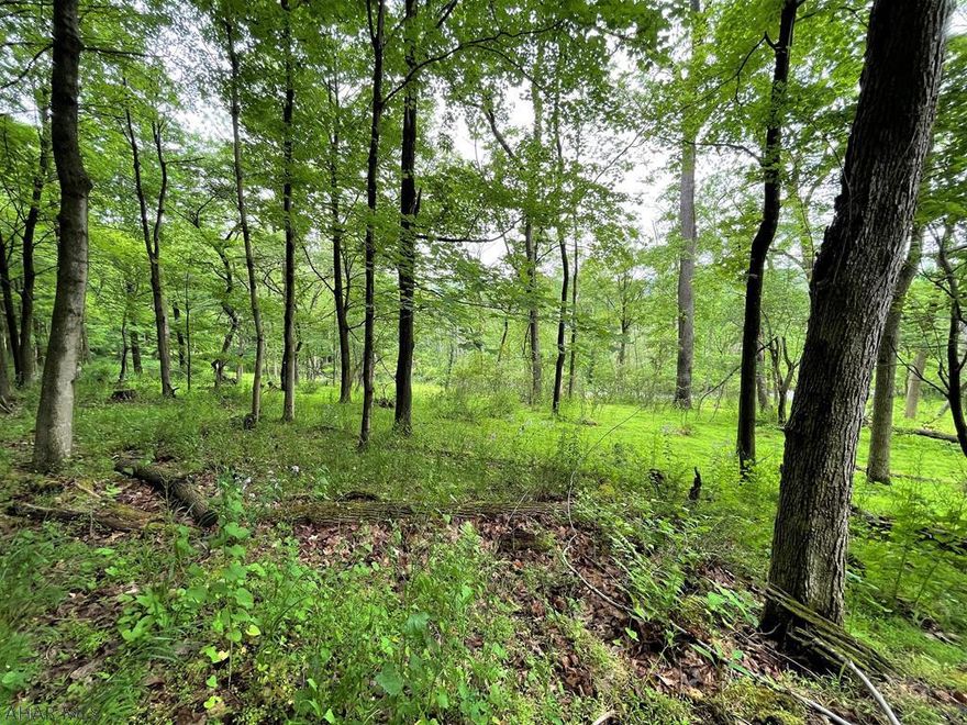 This beautiful land parcel rests atop Juliana Heights and ADJOINS the Omni Bedford Springs Resort!! This is a very rare opportunity to own such a large land parcel so close to the downtown Bedford area. Containing 7.125 acres, wooded with mature trees, and privacy with relaxing views. Perfect building site for your dream home, weekend retreat or multiple building sites. The adjoining Bedford Springs parcel has hiking and mountain biking trails, close to the Heritage Trail, and the downtown area with restaurants and shops.