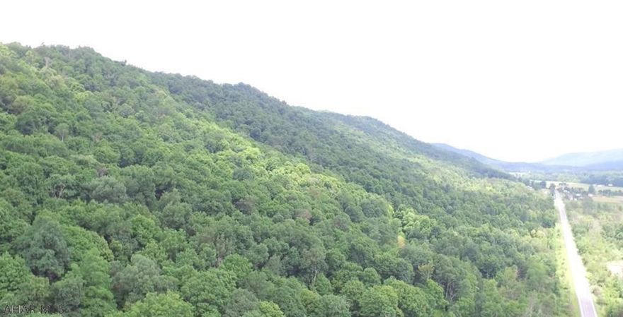 Hard to find 190 acre hunter or nature lover's retreat nestled in the foothills of the Alleghany Mountains.  Excellent timber valued at approximately $70,000.  Private and secluded.  Watch the drone video to getting a better idea of property.