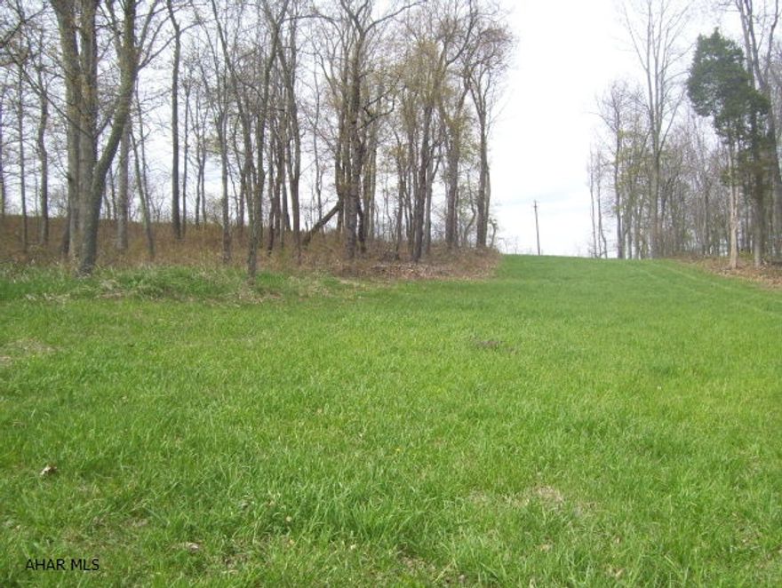 Ideal building ground for primary or secondary residence. Mostly level, serene and peaceful with beautiful views.  Great location.