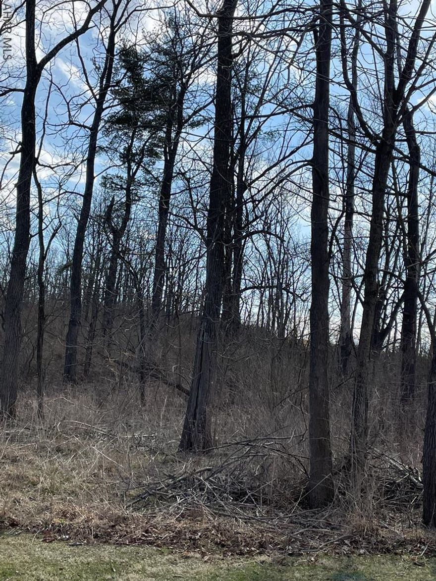 Slightly sloping lot with lots of level areas to build your dream home. awesome views of the country.  Close to PA Turnpike and I-99. 5 miles to downtown Bedford. Great location for your new home. Public water and sewer available. Buyer is responsible for tap fees with Bedford township.