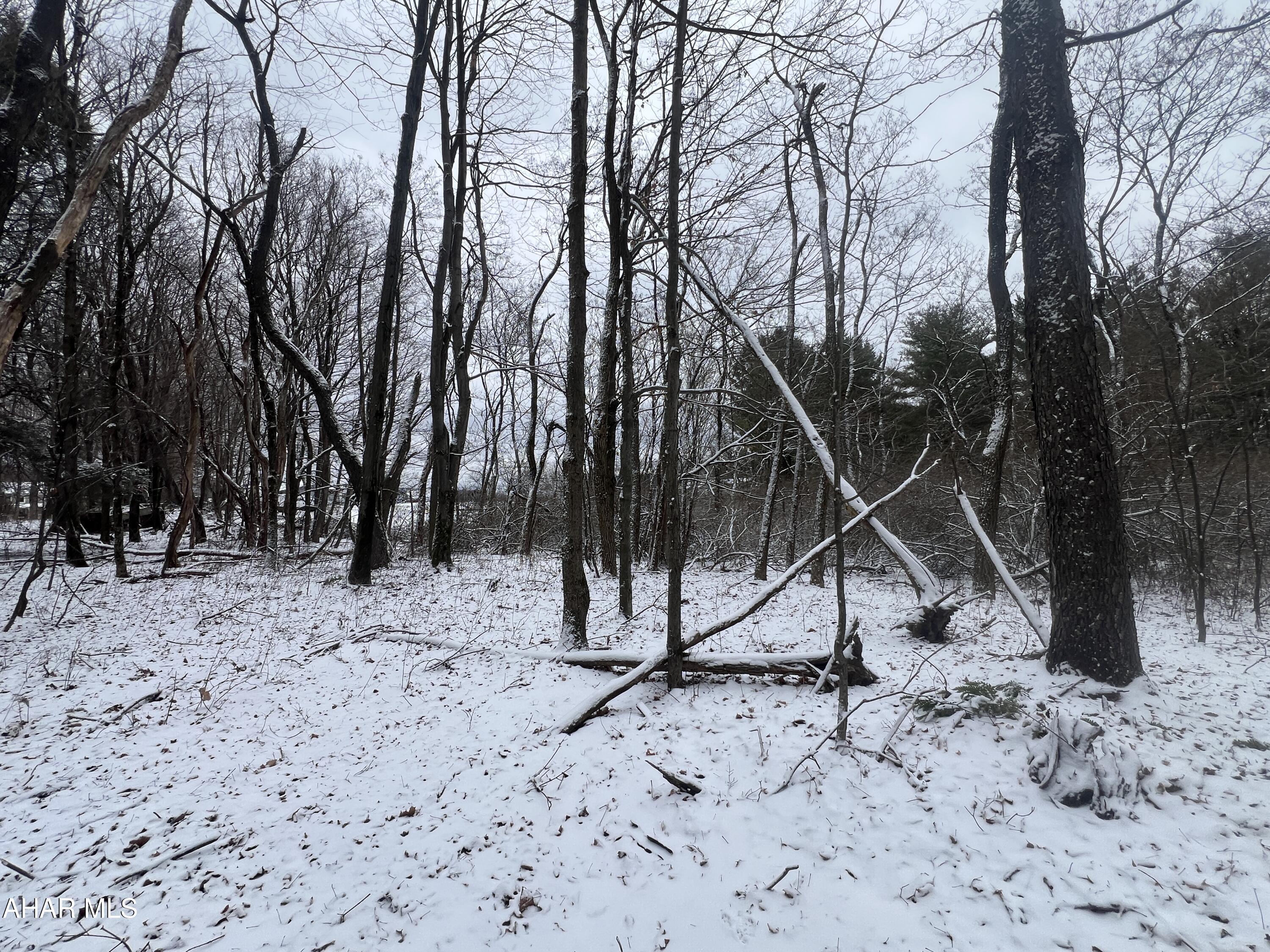 None - Commercial Sale