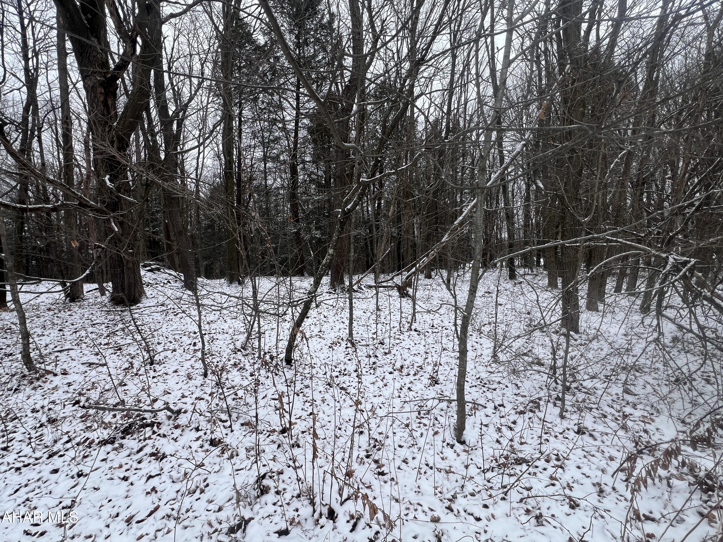 None - Commercial Sale