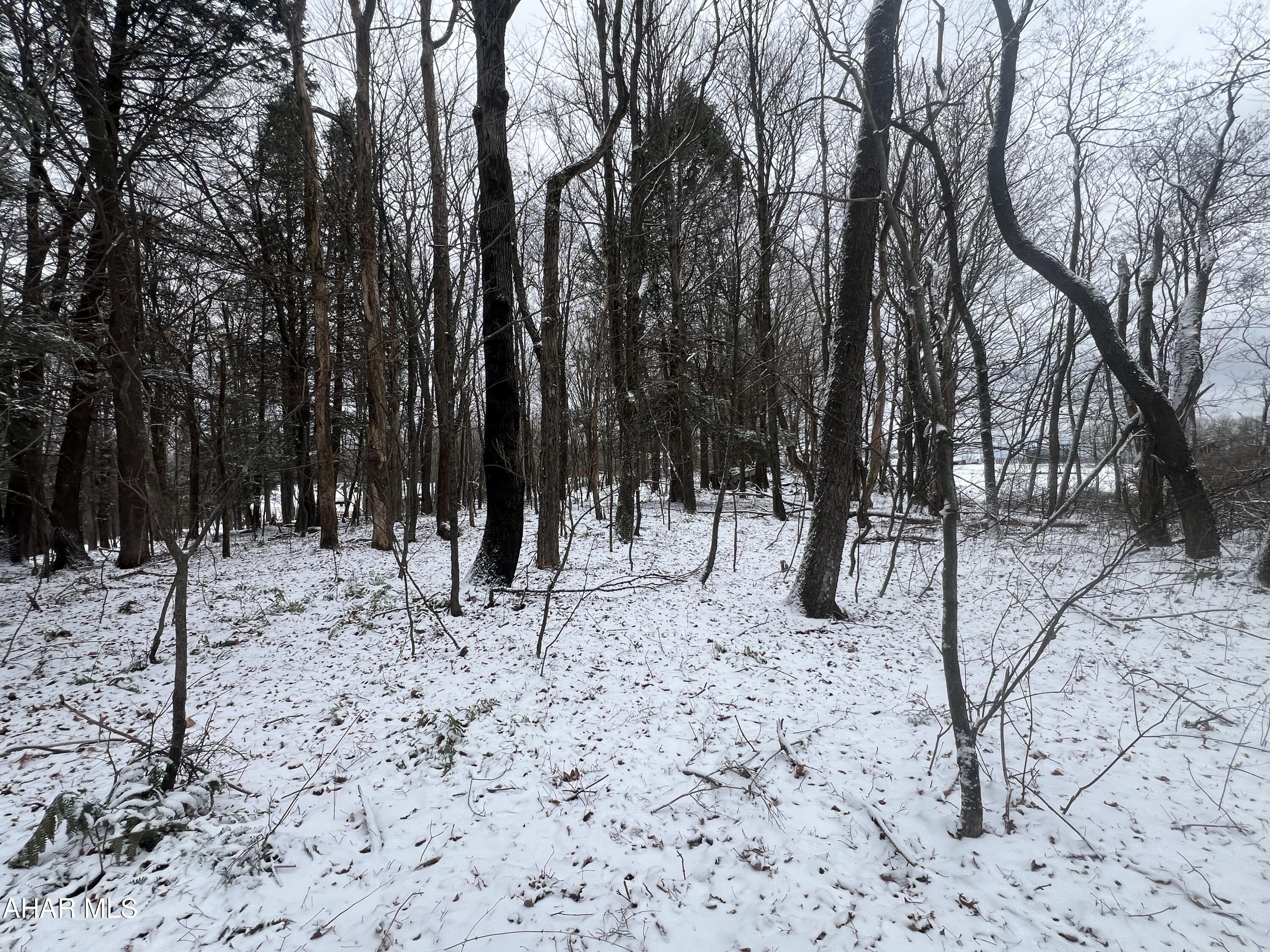 None - Commercial Sale