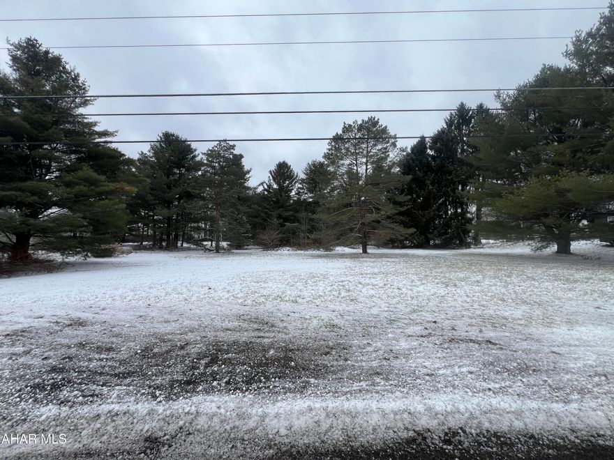 Nice wooded parcel of land consisting of 3.7+/- acres. Would make a great location to build a getaway or full time residence. Located just a few minutes from Blue Knob All Seasons Resort. Property has not been perc tested.