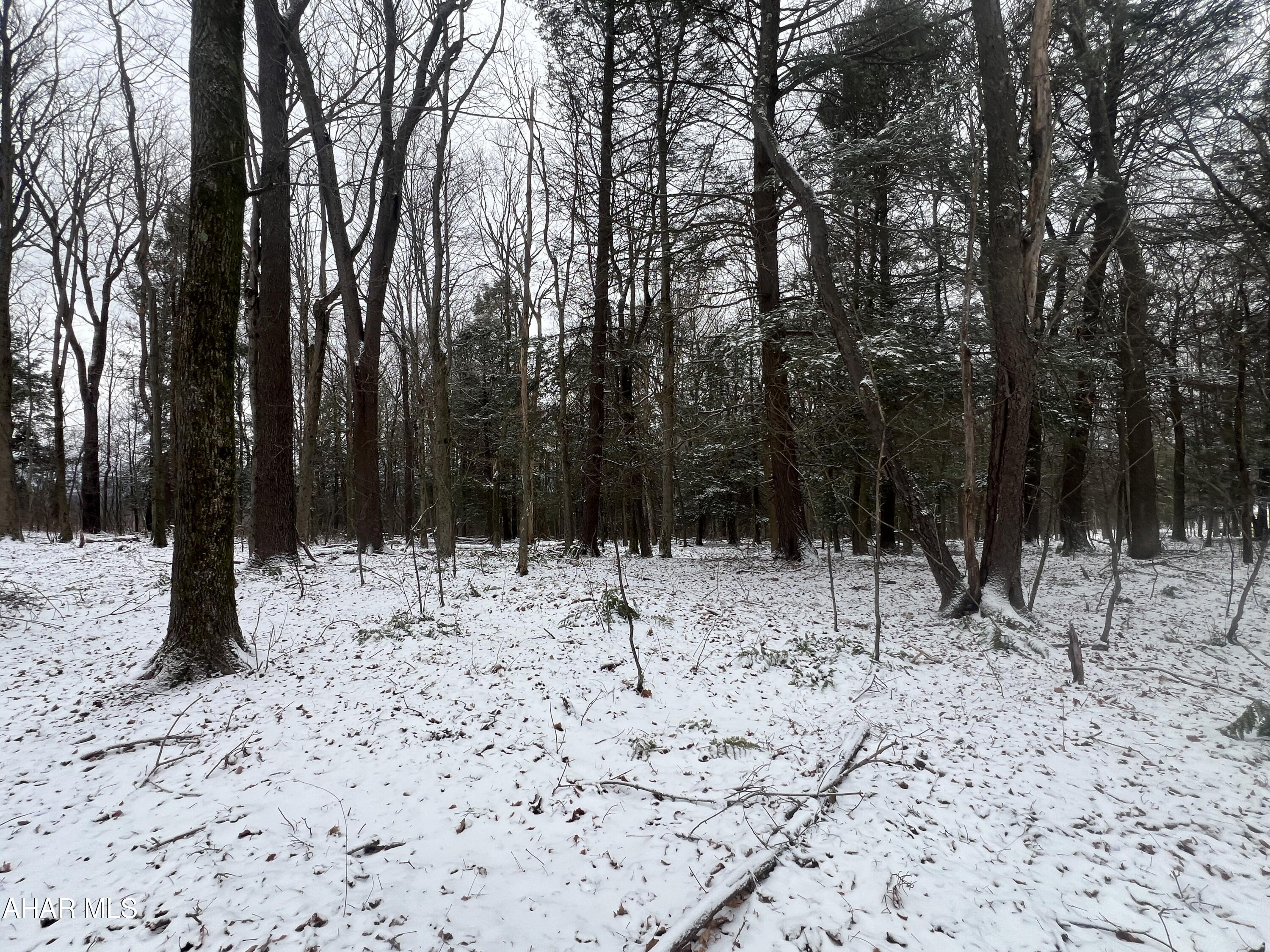 None - Commercial Sale