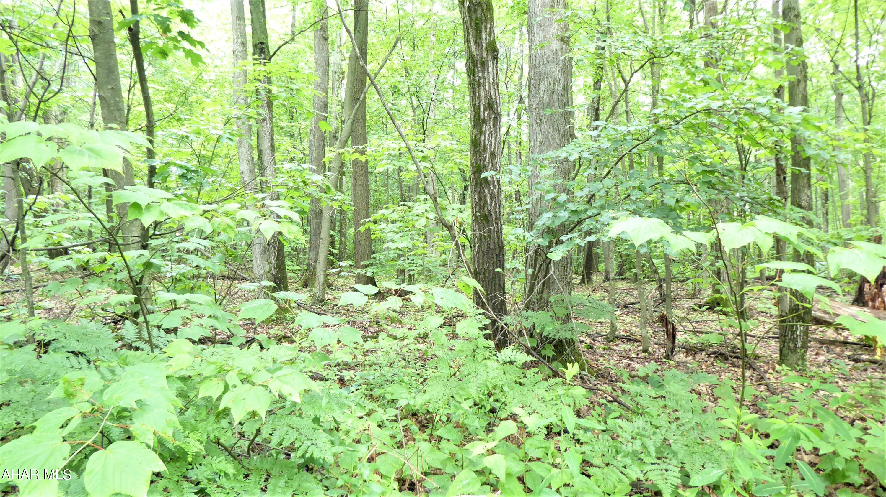 Blue Knob - Commercial Sale