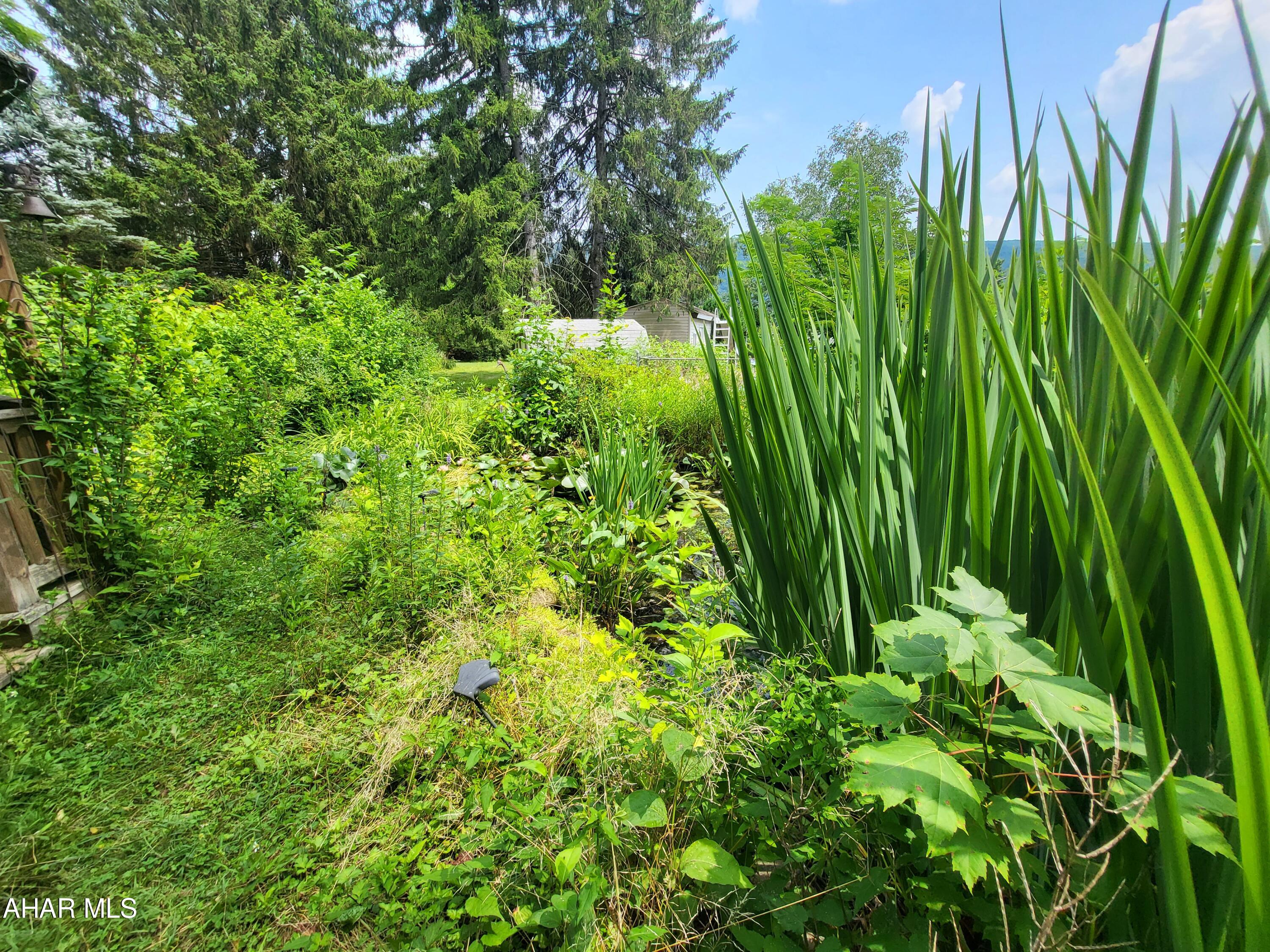 Antis Township - Residential