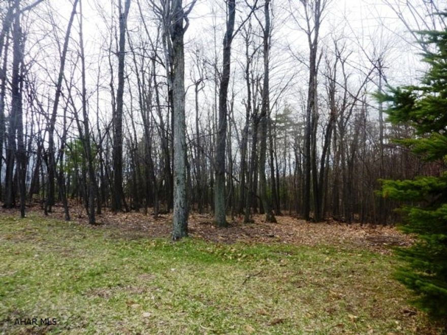 Beautiful wooded building lot with breaktaking views of Warriors Mark valley. This once in a life time opportunity is the perfect opportunity for an individual or contract builder. This lot is perc approved, has up to $7,000 in timber value, and the view is Free!