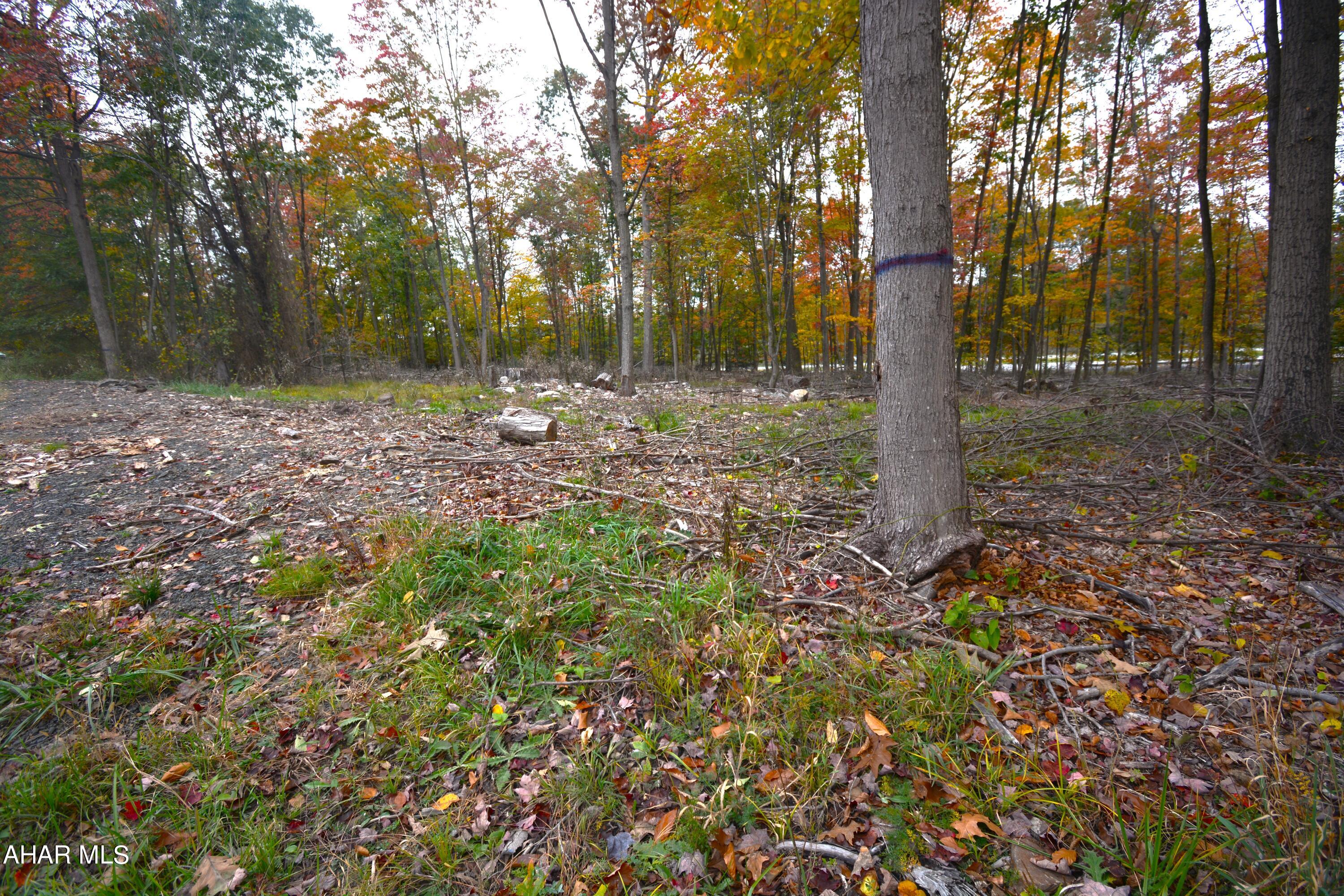 Bellemeade - Commercial Sale