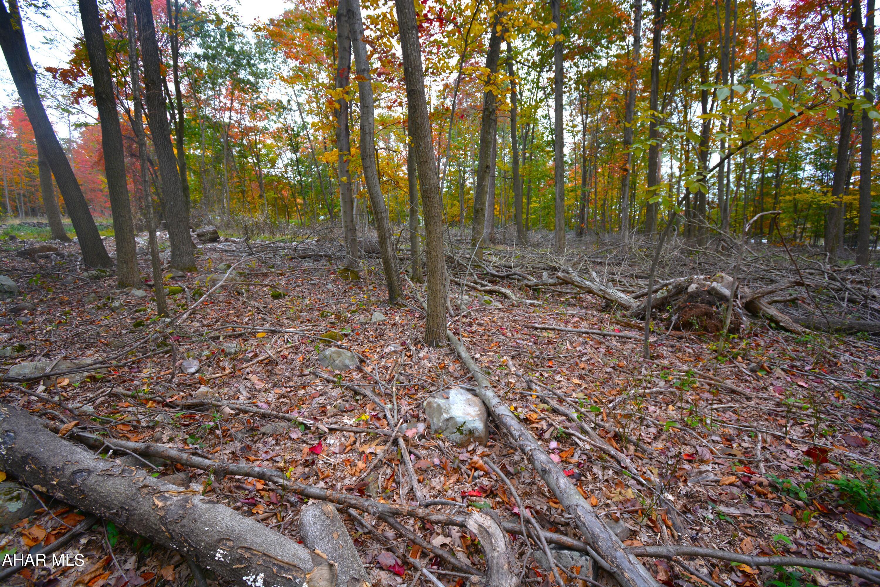 Bellemeade - Commercial Sale