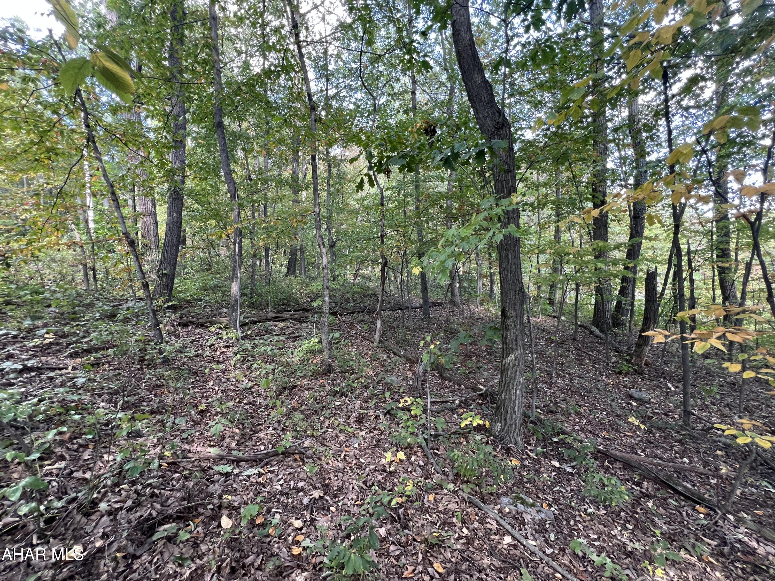 Other - Commercial Sale