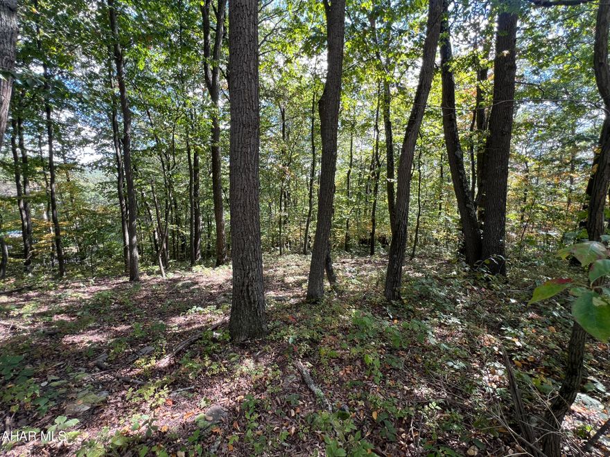 1 Acre lot close to Buchanan State Forest. Would make a great location for a hunting camp or getaway located only minutes from Pike 2 Bike, I-70, and the PA Turnpike.