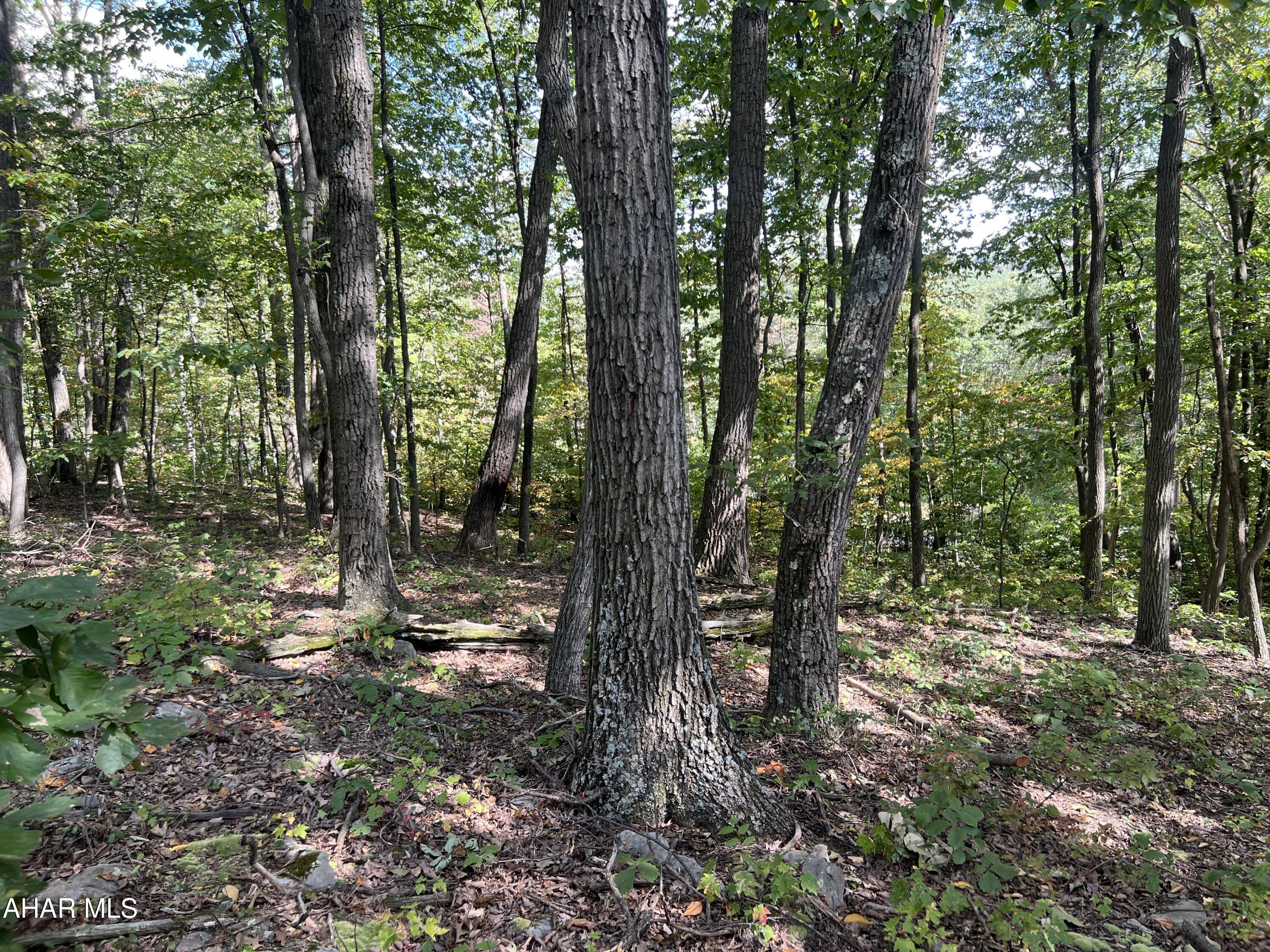 Other - Commercial Sale