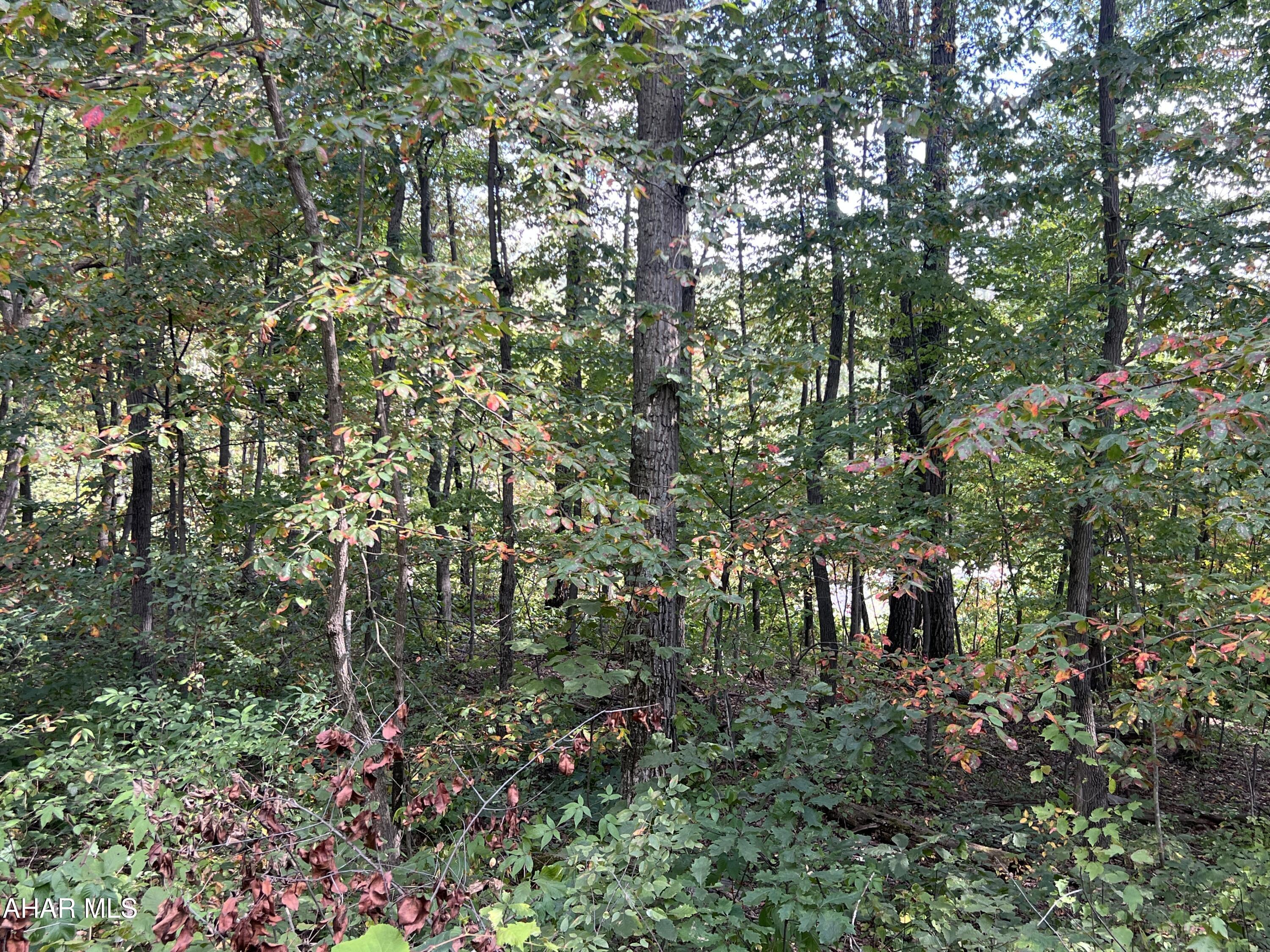 Other - Commercial Sale