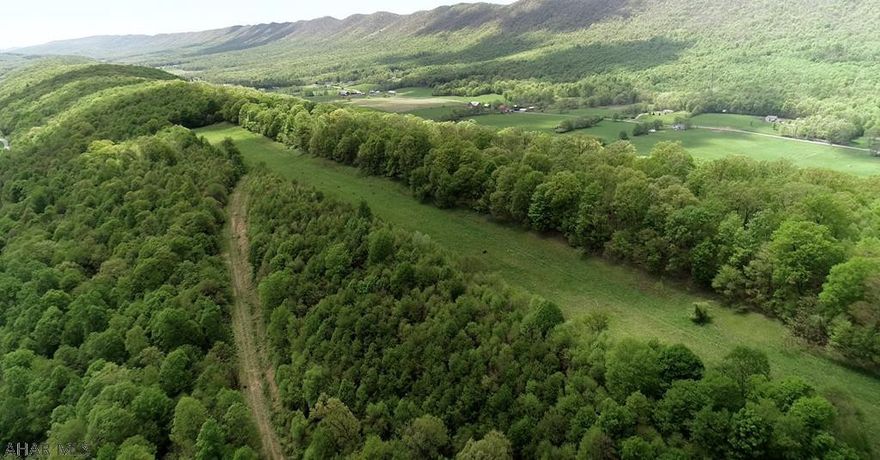 Delight in the stunning views of the Omni Bedford Springs in the privacy of 40 private acres that surround this fabulous building site within minutes of the historic town of Bedford Pennsylvania.  The site has already been approved for a conventional septic system which adds to the value of this property.  If you are looking for nature and wild life, this property will definitely not disappoint.  Survey is available.  Watch the drone video attached to see the beauty of this wonderful property.