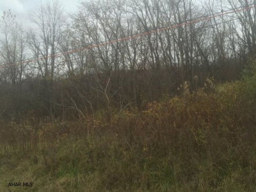 25 acres of wooded ground on Bedford Valley Road.