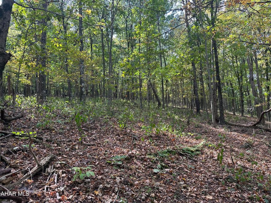 The Largest lot available at 37.062 acres this fully wooded lot has a wonderful building site, perc approved, and easy access. Underground electric available to tie into. Gravel road access, minimal deed restrictions. Perfect for a dream home, recreational retreat, hunting and more. An abundance of deer and turkey regularly seen on this lot. Mins from Shawnee State Park, Omni Bedford Springs and much more.