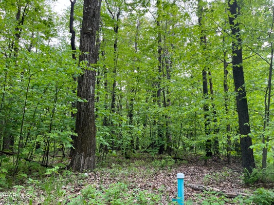 TIMBERMAN RD, CLAYSBURG, PA 16625 - Image bc3f62e719850150ae1ca36dce64ff00/3732548204