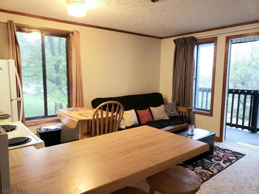 Blue Knob - Residential