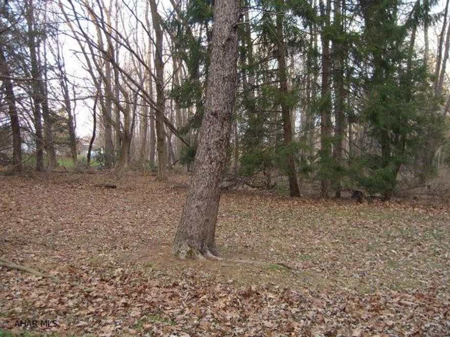 Flat level cleared building lot just outside of Bellwood borough limits.