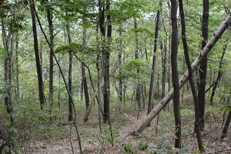 Located less than a mile from State Game Lands, this property would make an excellent location for a camp or full time residence. Great hunting on property and State Game Lands reported. Has Road Frontage on a private gated road and public road. Not far from Rocky Gap State Park.