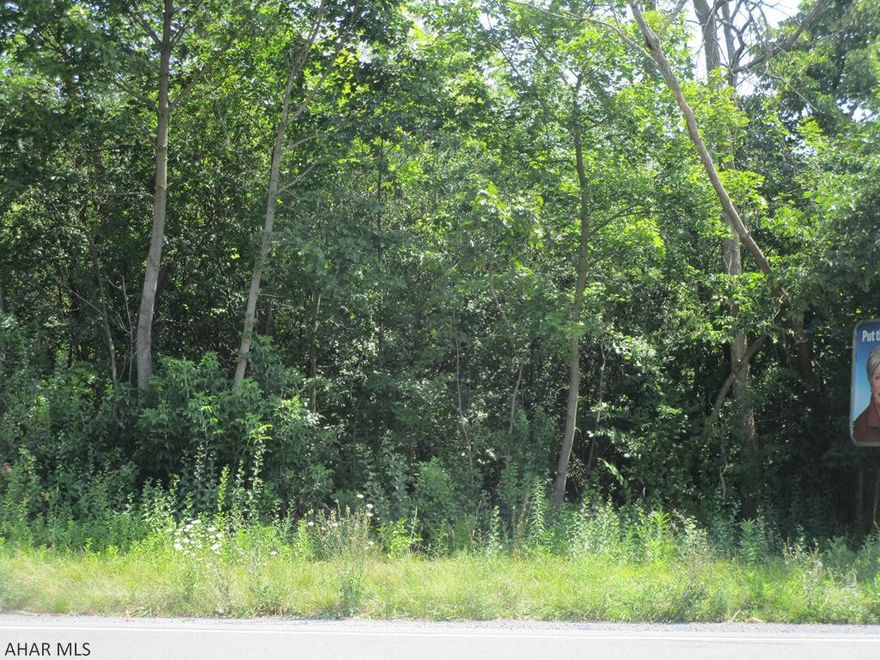 Commercial lot fronting on S Logan Blvd in Lakemont.  Billboard on site with income of $500/year. Would make great business site. Corner lot.