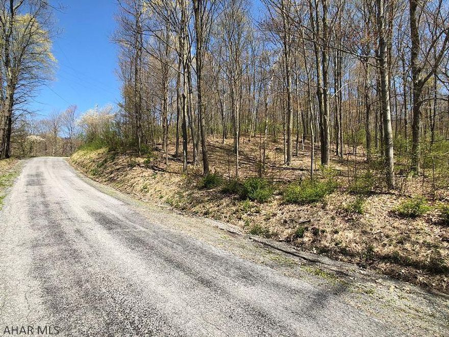 Seize this opportunity to own a beautiful and peaceful wooded building lot. 5 lots are currently available. Each lot has amazing views at the top of a gentle slope. All with perc tests on file for sand mound systems on or near potential building sites. Baughman Cemetery Road is a township maintained road. Each lot is over 10 acres and can remain in the clean and green program. Only 25 miles from both State College and Altoona they are ideally located for an easy commute on I-99. With wildlife abound the joy of nature and elbow room are within your grasp. Don't miss out!