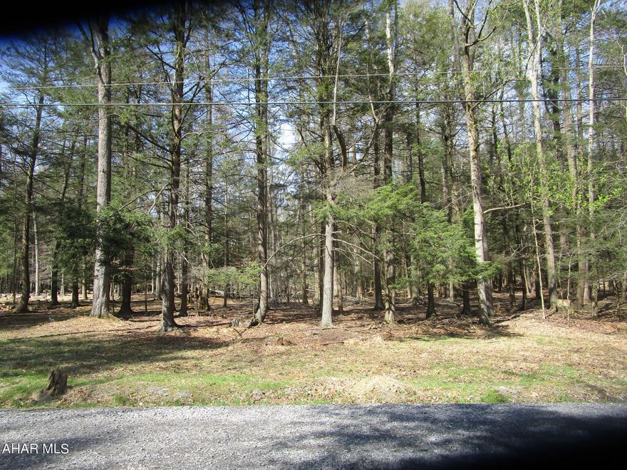 Newly surveyed, half acre wooded lot on a private road in Glendale Yearound, a gated community.  Lot is flat and backs up to common property of the development.  Public water, sewer and electricity are available for this property.  
Glendale Yearound property owners have access to the community swimming pool, club house, tennis / basketball / volleyball courts, playgrounds, dog park, pavilions and more.  The development is adjacent to Prince Gallitzin State Park / Glendale Lake and six miles from Rock Run ATV Park.