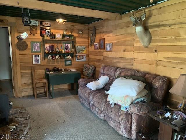 Blue Knob - Residential