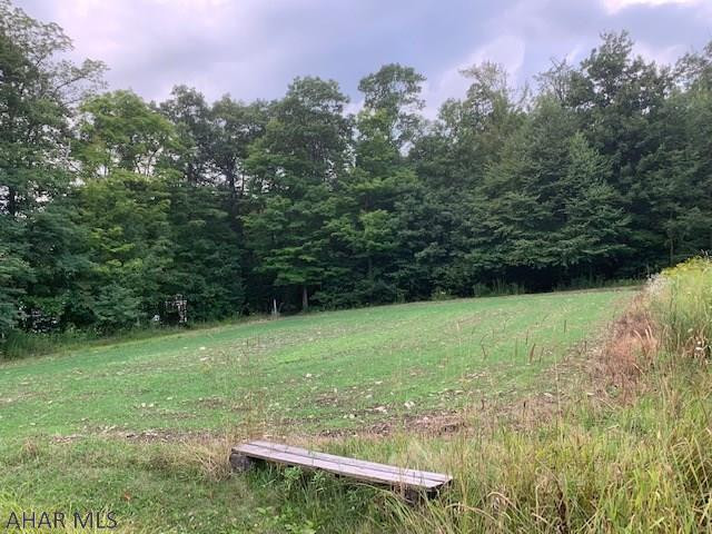 Blue Knob - Residential