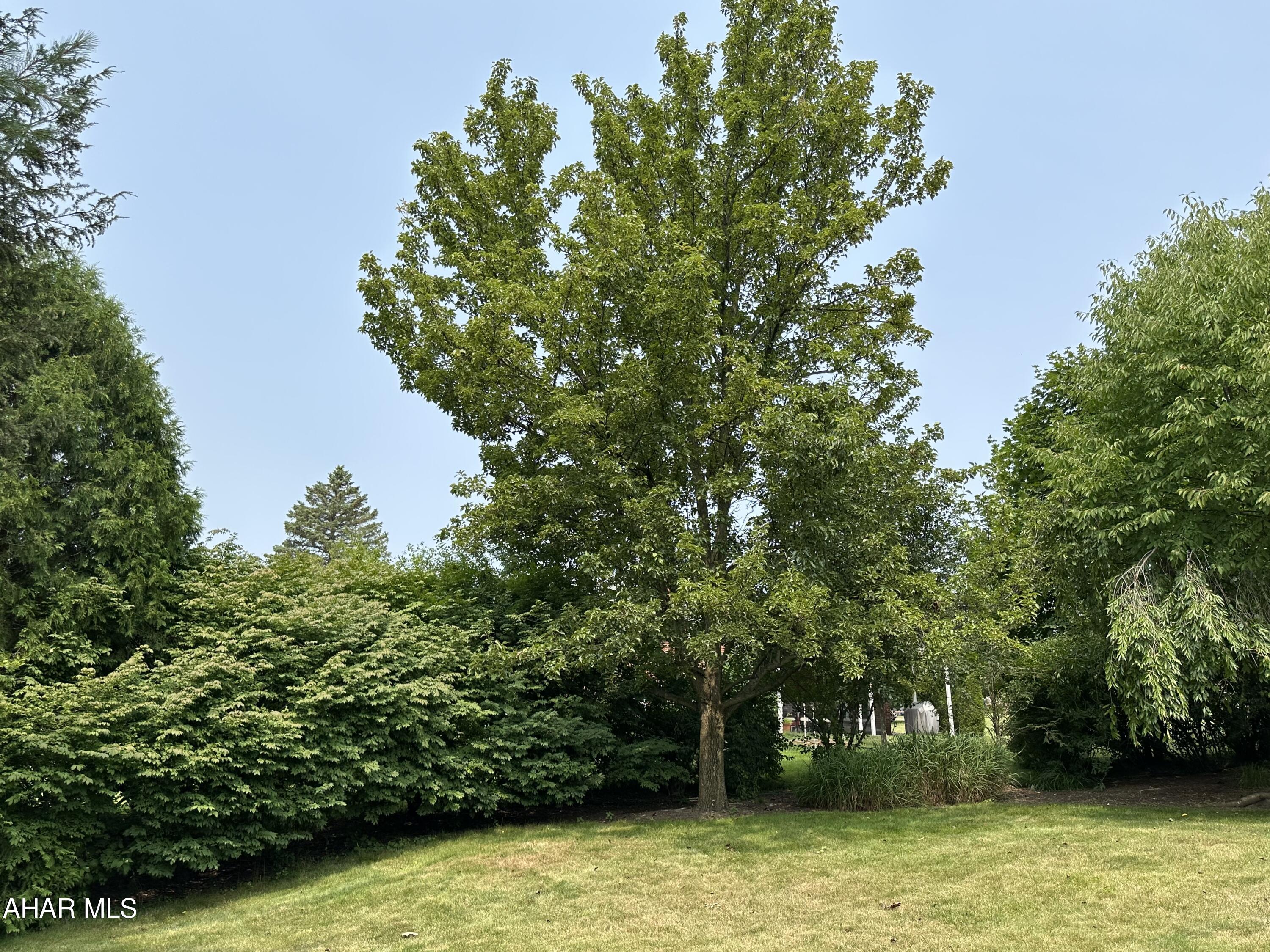 Sylvan Hills - Residential