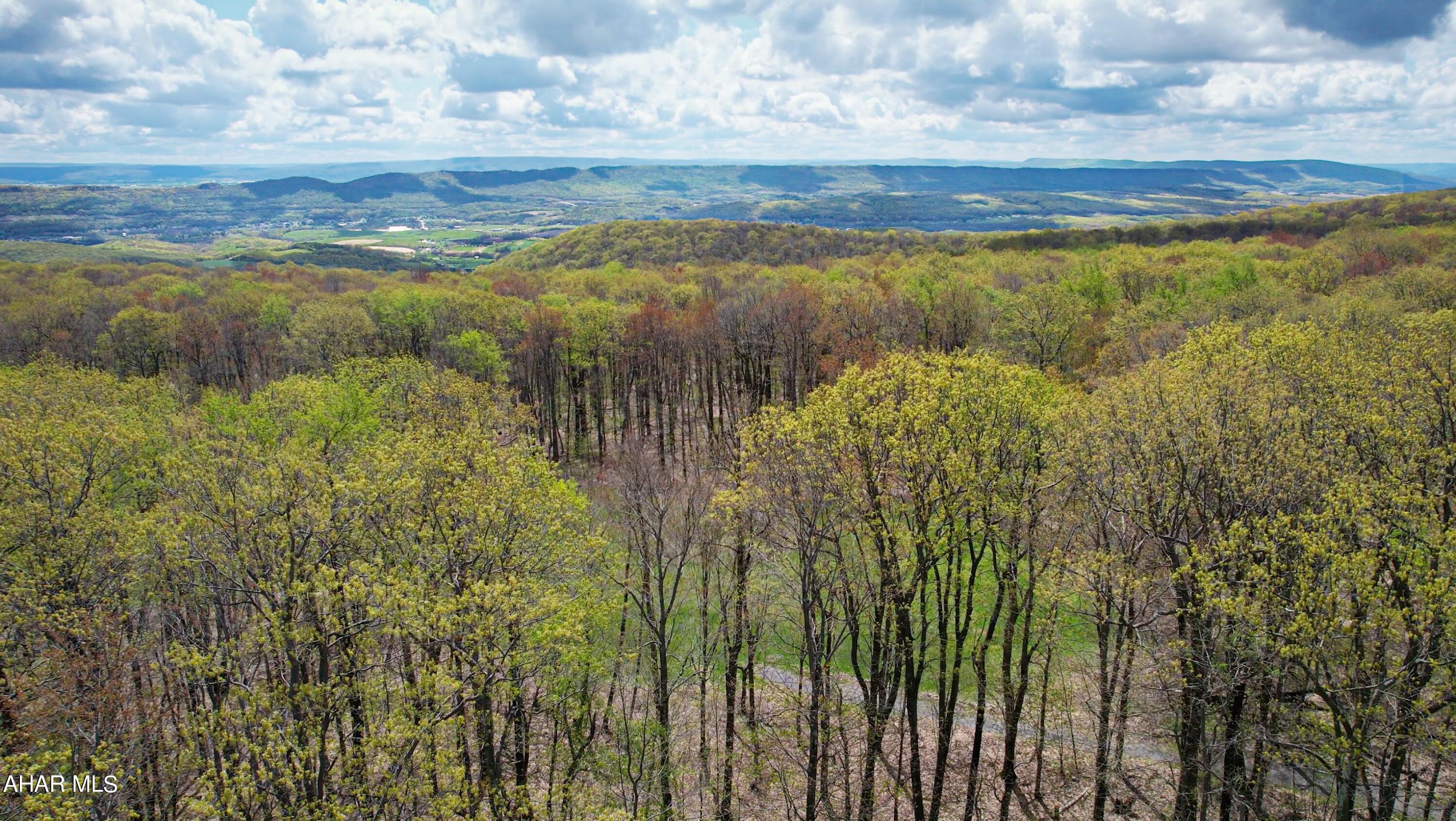 Blue Knob - Residential