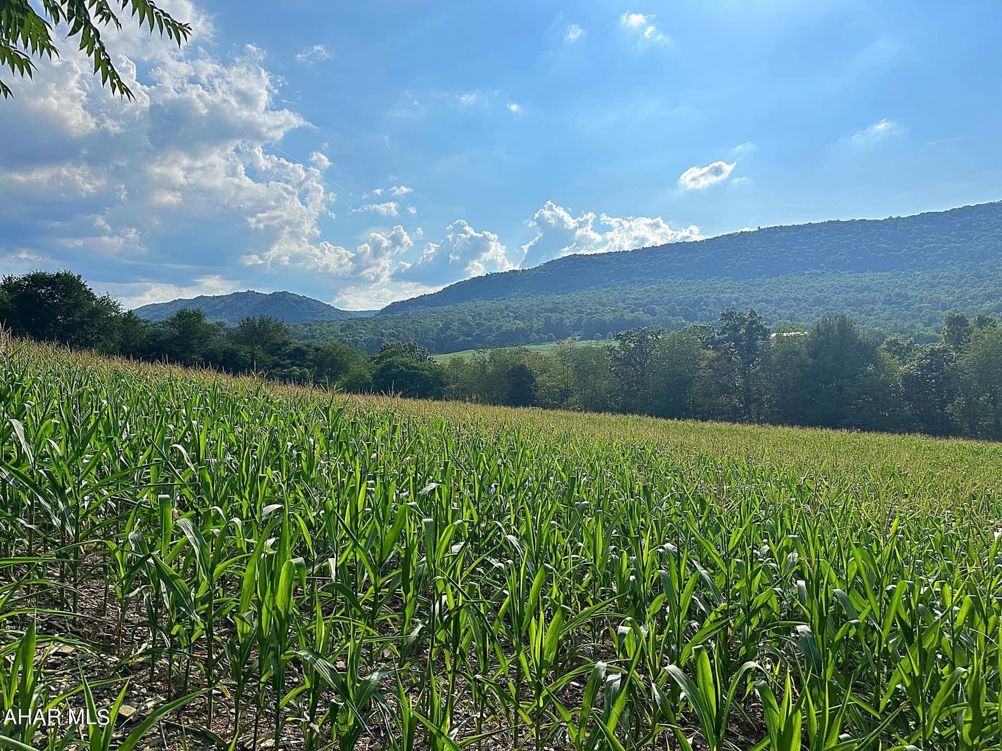 None - Commercial Sale