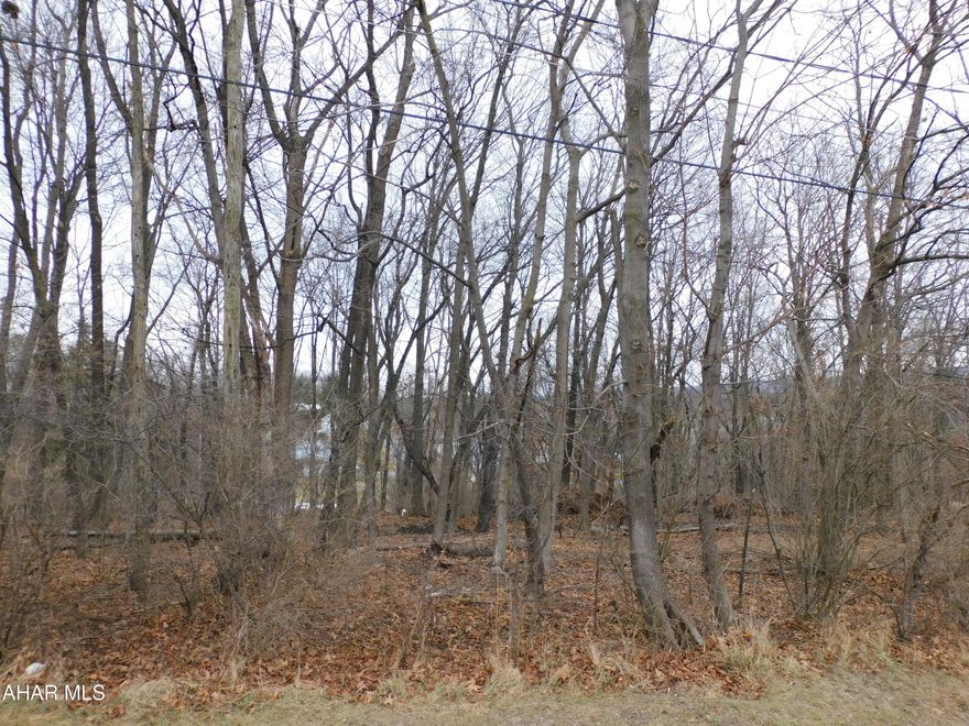 3 wooded parcels of land in Logan Township. Parcels are 100 x 120, 50 x 120, and 50 x 120 Approximately .56 acres total. An additional 2 parcels(200 x 120 and 200 x 120) can be purchased with these parcels. Check MLS # 79260 for more information.