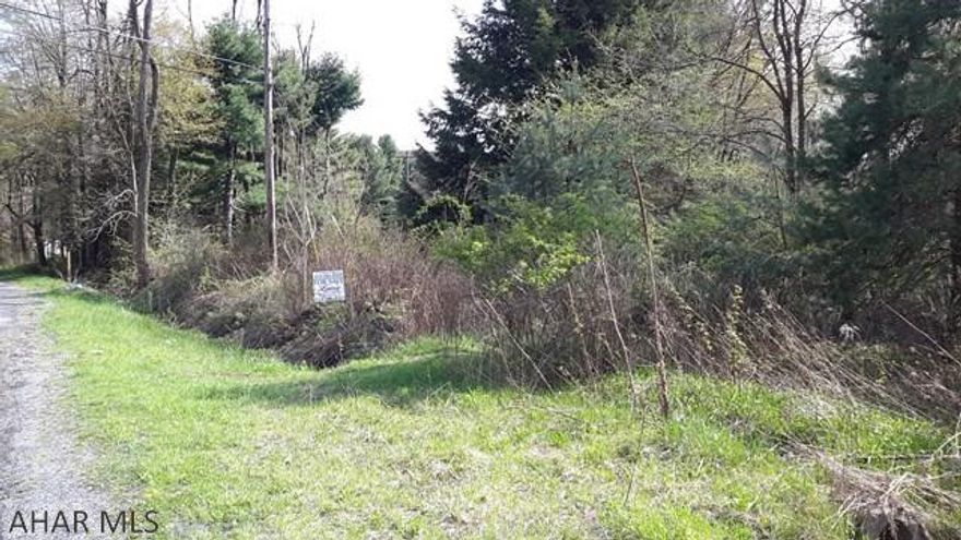 Sportsman's paradise.  Wooded, great place for hunting camp or new build. Close to sportsman's club, electric to property, and has stream. Has not been perk tested. There are also 2 other lots that goes with this property  Tax Id 31-013.08.000   -----tax ID 31-006.-138.000