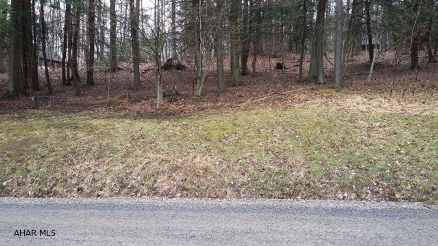 Bare lot in Glendale Yearound only a few minutes from the pool and clubhouse. The property is a corner lot about 3/4 of an acre and has a great view from slightly sloped terrain. All utilities are present.