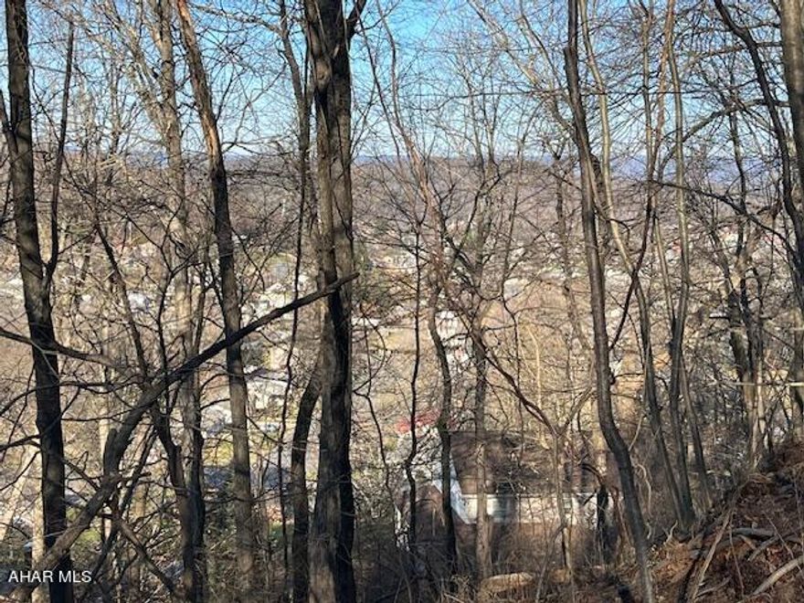 LOOKING FOR A FABULOUS VIEW OVERLOOKING BEDFORD. PLEASE CHECK OUT THIS LARGE LOT. ORANGE RIBBONS IN TREE AND ON POST MARKS THE WIDTH.