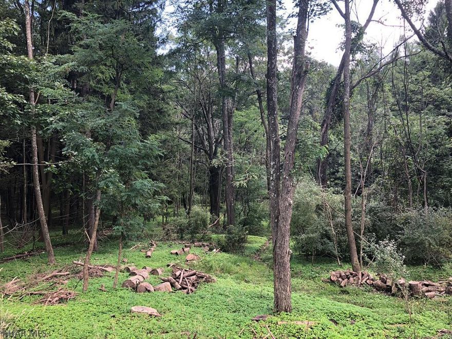 Sinking Valley area 28.9 beautifully treed acres. This property has approximately 225 feet of road frontage along Kettle Road. There is a stream that boarders the front portion of the land. There are red oak and white oak trees on this property. Back portion is accessed through Reed Lane.