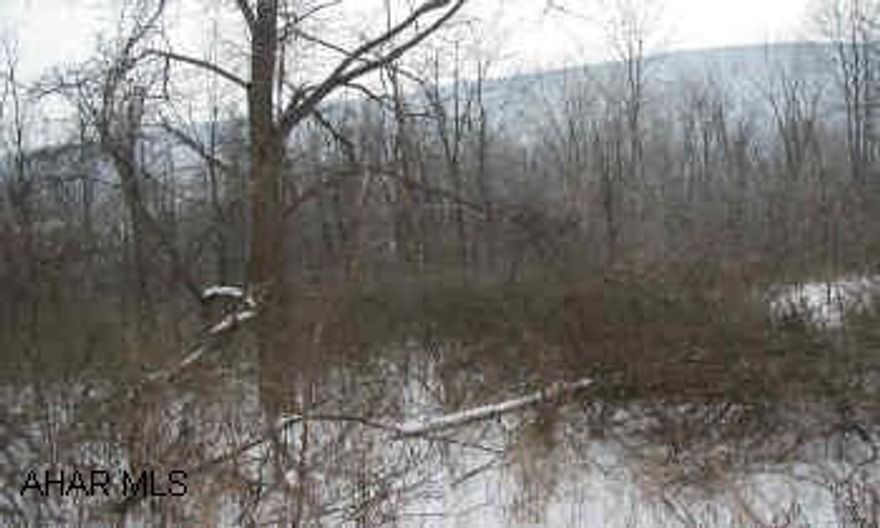 Wooded 10.8 Acres.  Slight slope. Good homesite.