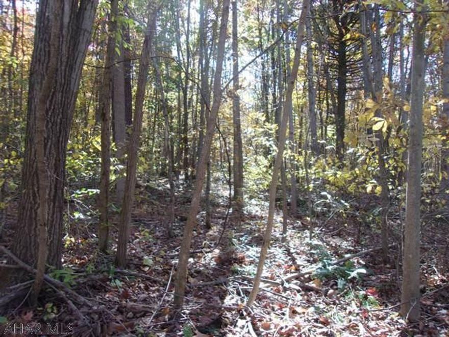 MORE IS BETTER! Good road frontage. Build your cabin, dream or retirement home, then use the rest of the ground for recreation, hunting,......    this property has everything you could want!  Ground starts level, then elevates gradually in 3 benches.  Wet spring on second bench could be expanded into a pond.  Red, White and Rock Oak, Sugar and Hard Maple thruout w/ Poplar on upper bench.  Florarose to attract turkey and geese.  Wild grapes, blackberries and elderberries in abundance.  Squirrel deer, and the occaissional bear.  5 minutes from 2400 acres of State Game Lands and 5 miles to Lake Gorden and Lake Koon.  Have we missed anything?  I don't think so!  Your next adventure awaits!