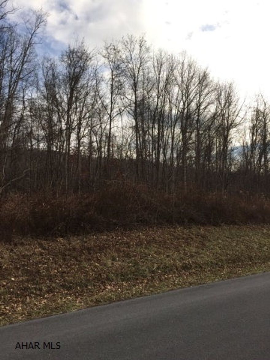 4.561 acres in Claysburg-Kimmel school district. Would make a nice building site.  Easy access to I-99.